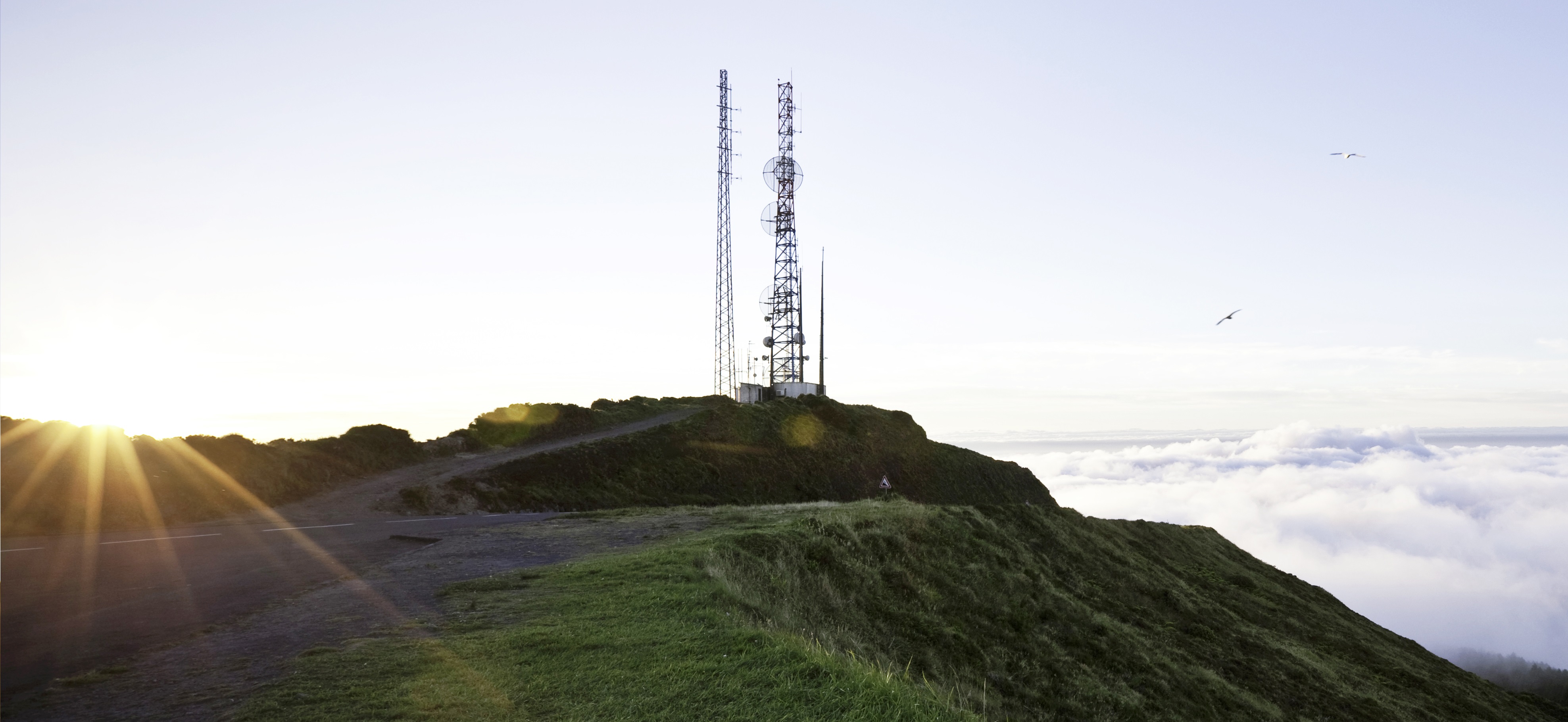 Emerging Connectivity